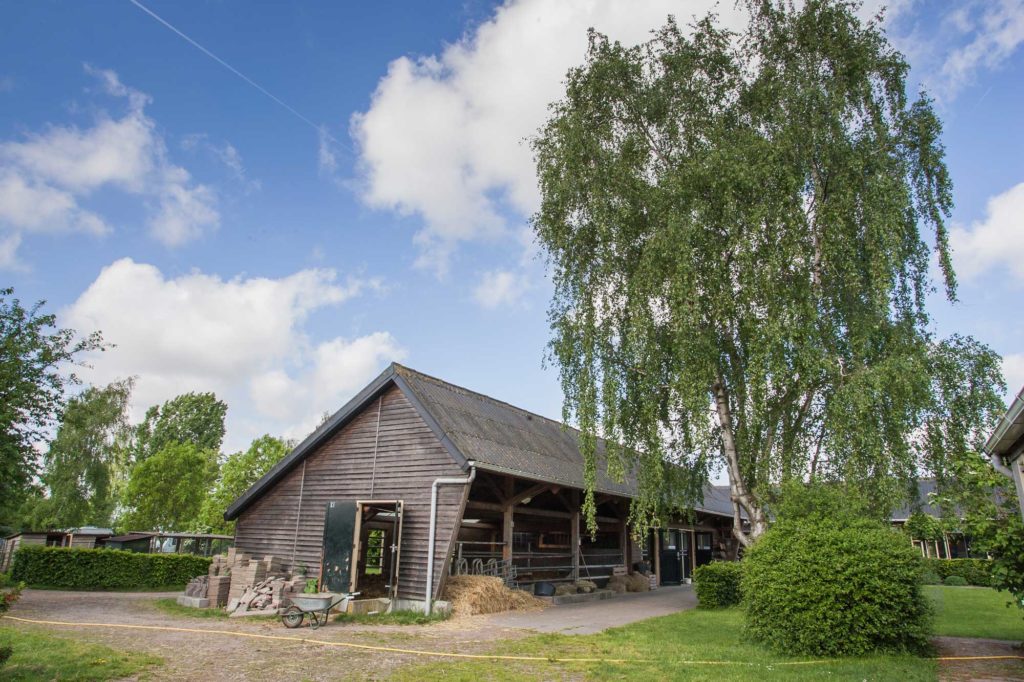 bossewaard-camping-abrona-natuur-bij-de-boer-KL6M8577-1024×682