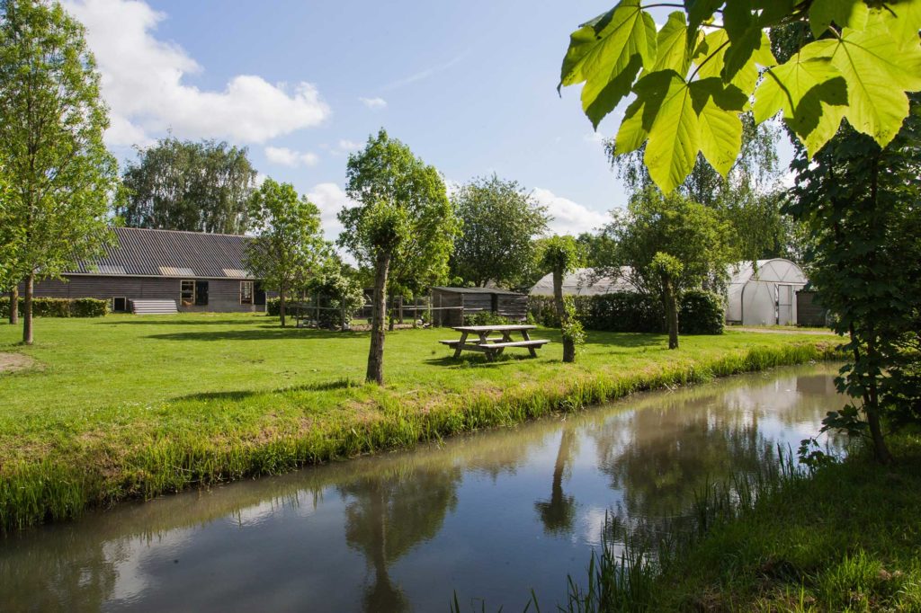 bossewaard-camping-abrona-natuur-bij-de-boer-KL6M8599-1024×682